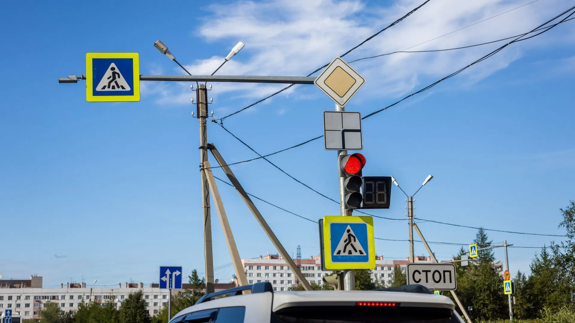 Фото: Юлия Чудинова / «Ямал-Медиа»