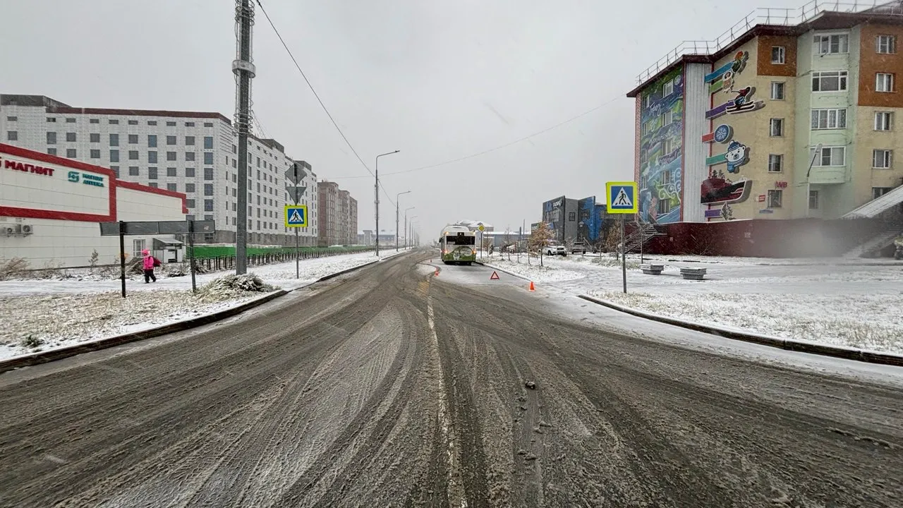 Фото предоставлено пресс-службой Госавтоинспекции ЯНАО
