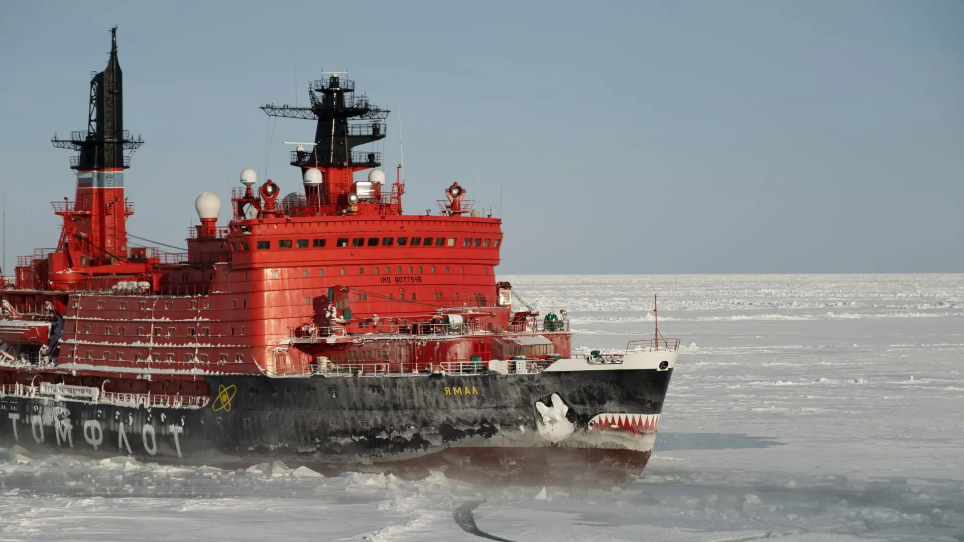 Фото: FUCKtograff/Shutterstock/Fotodom