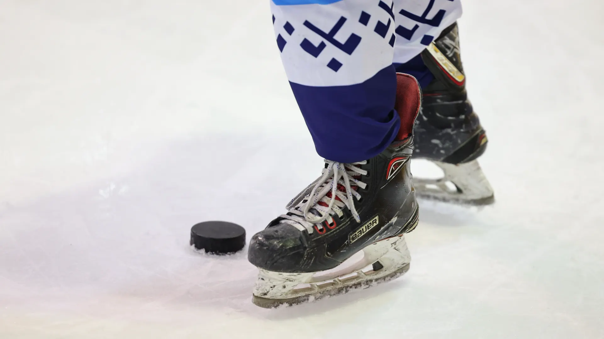 Фото: Андрей Ткачев / «Ямал-Медиа»