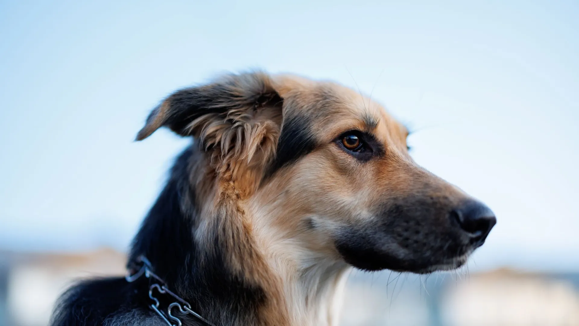 Фото: Юлия Чудинова / «Ямал-Медиа»