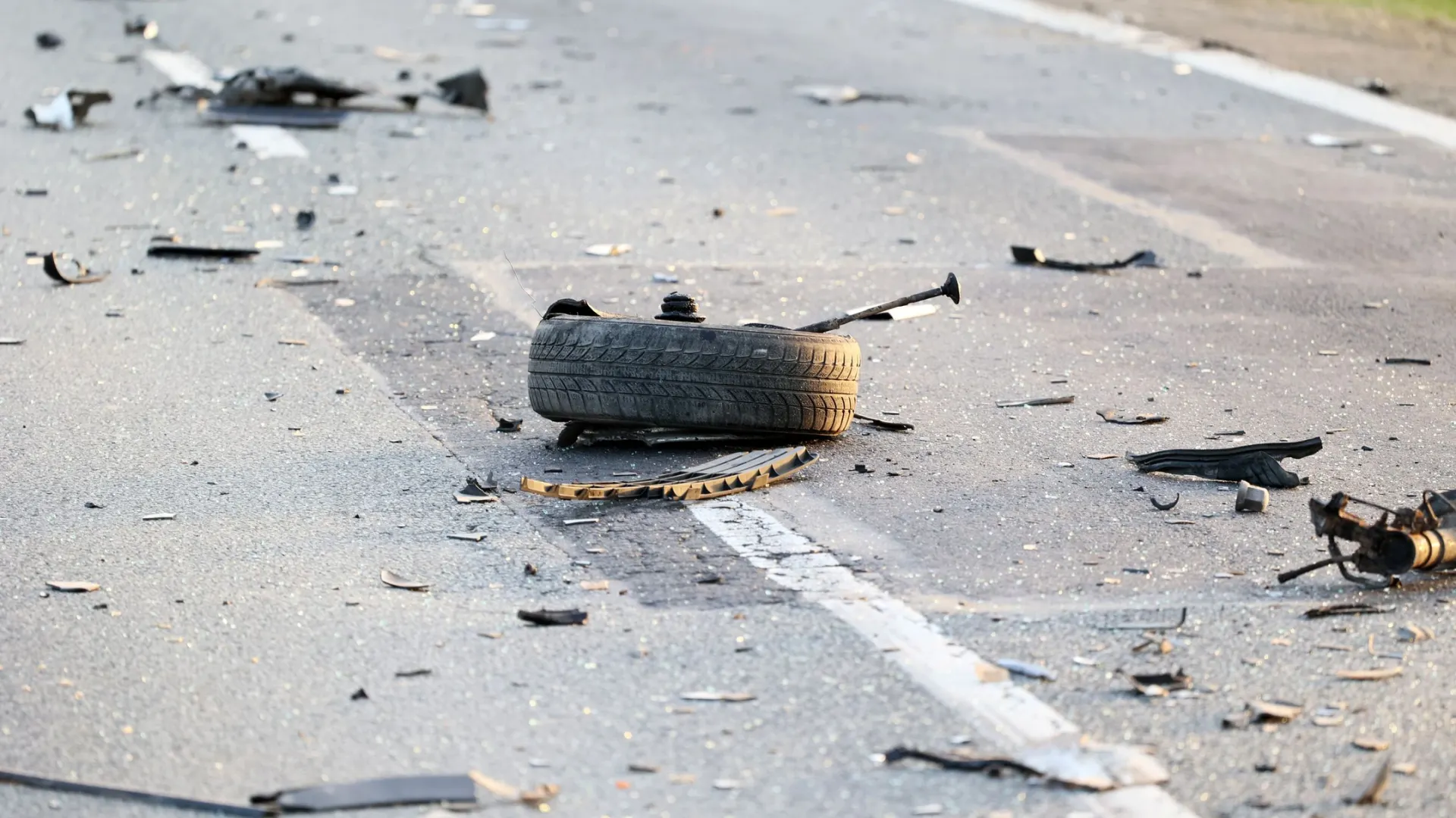 Фото: FotoDax/Shutterstock/Fotodom