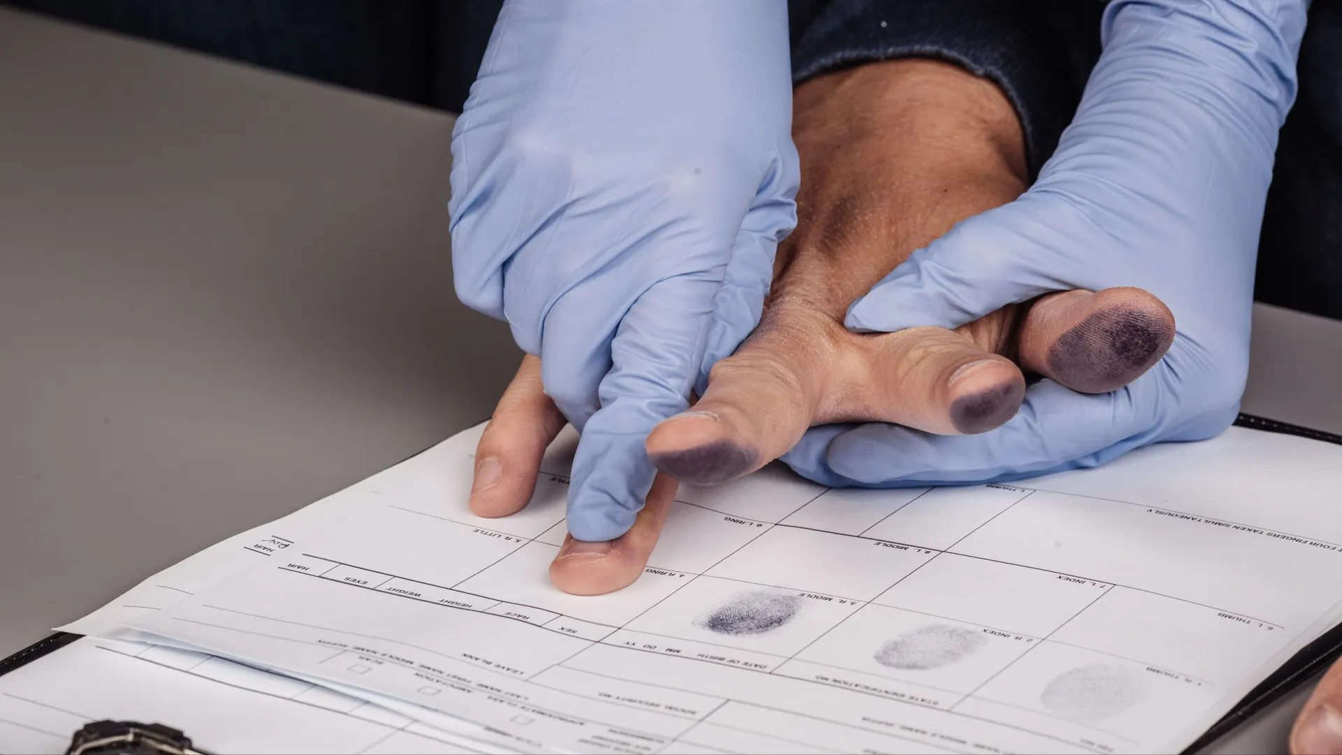 Фото: PRESSLAB/Shutterstock/Fotodom