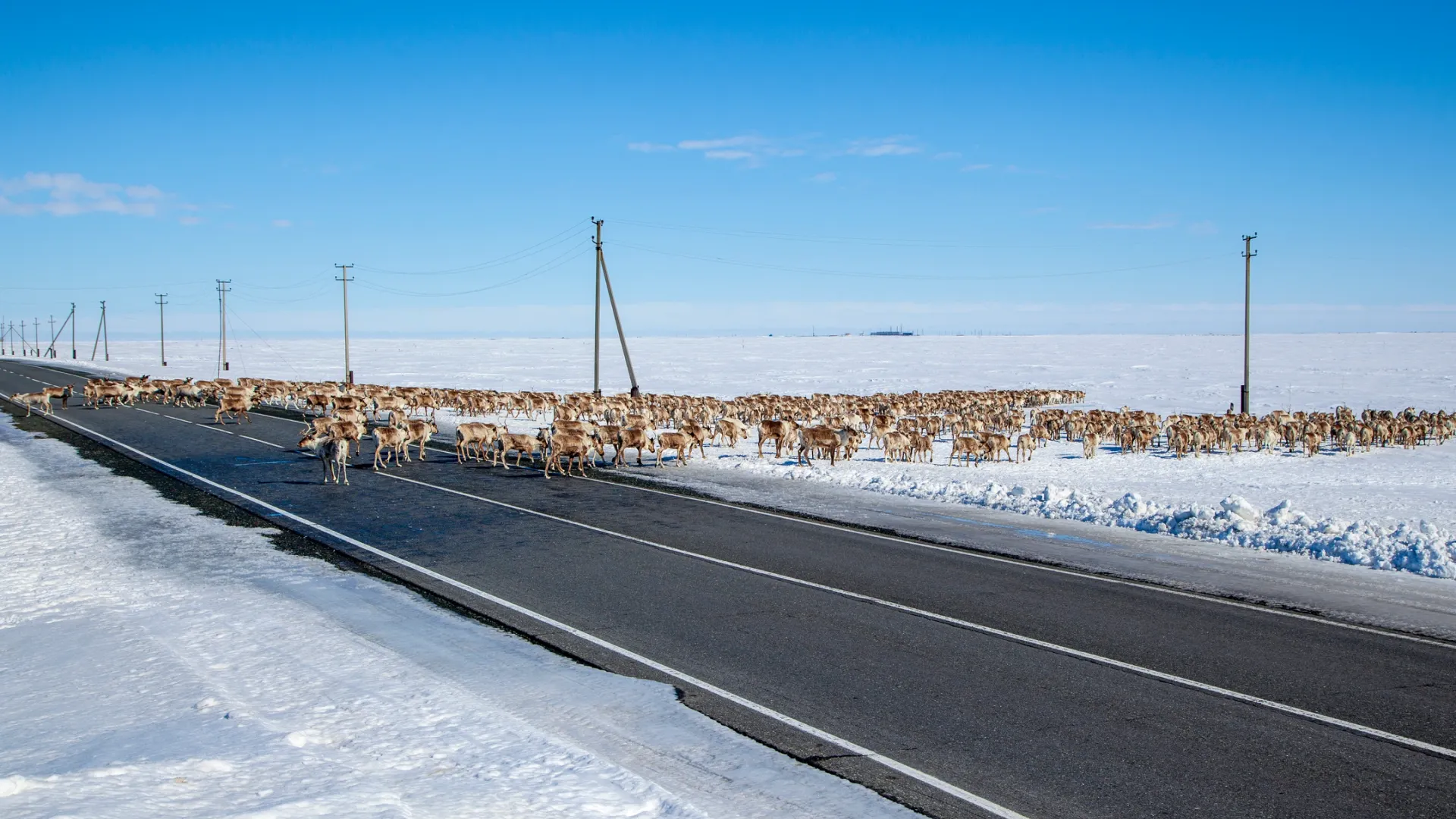 Фото: evgenii mitroshin / Shutterstock / Fotodom