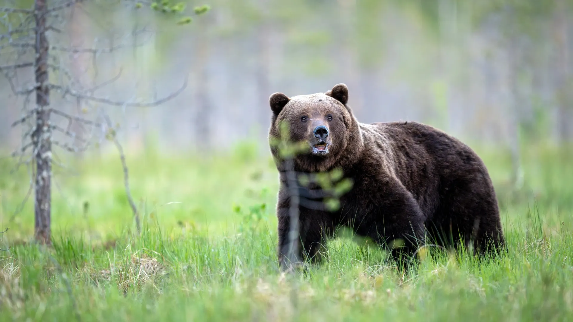Фото: Piotr Krzeslak / Shutterstock / Fotodom