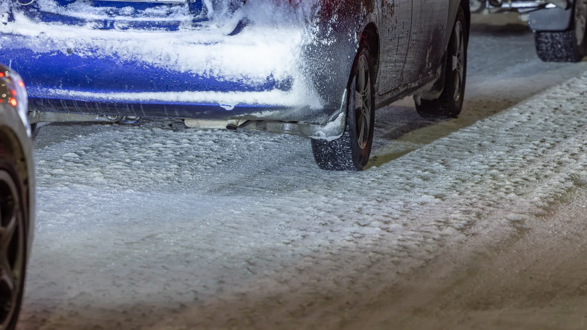 Фото: Федор Воронов / «Ямал-Медиа»