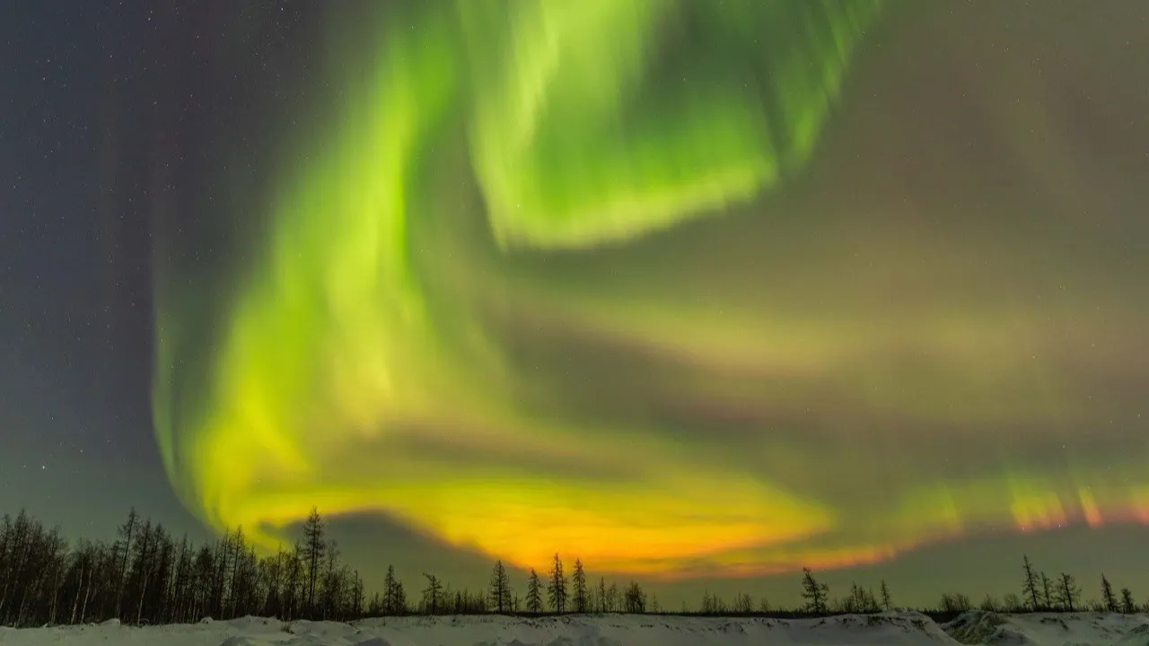 Фото: личный архив Олеси Ячушко 