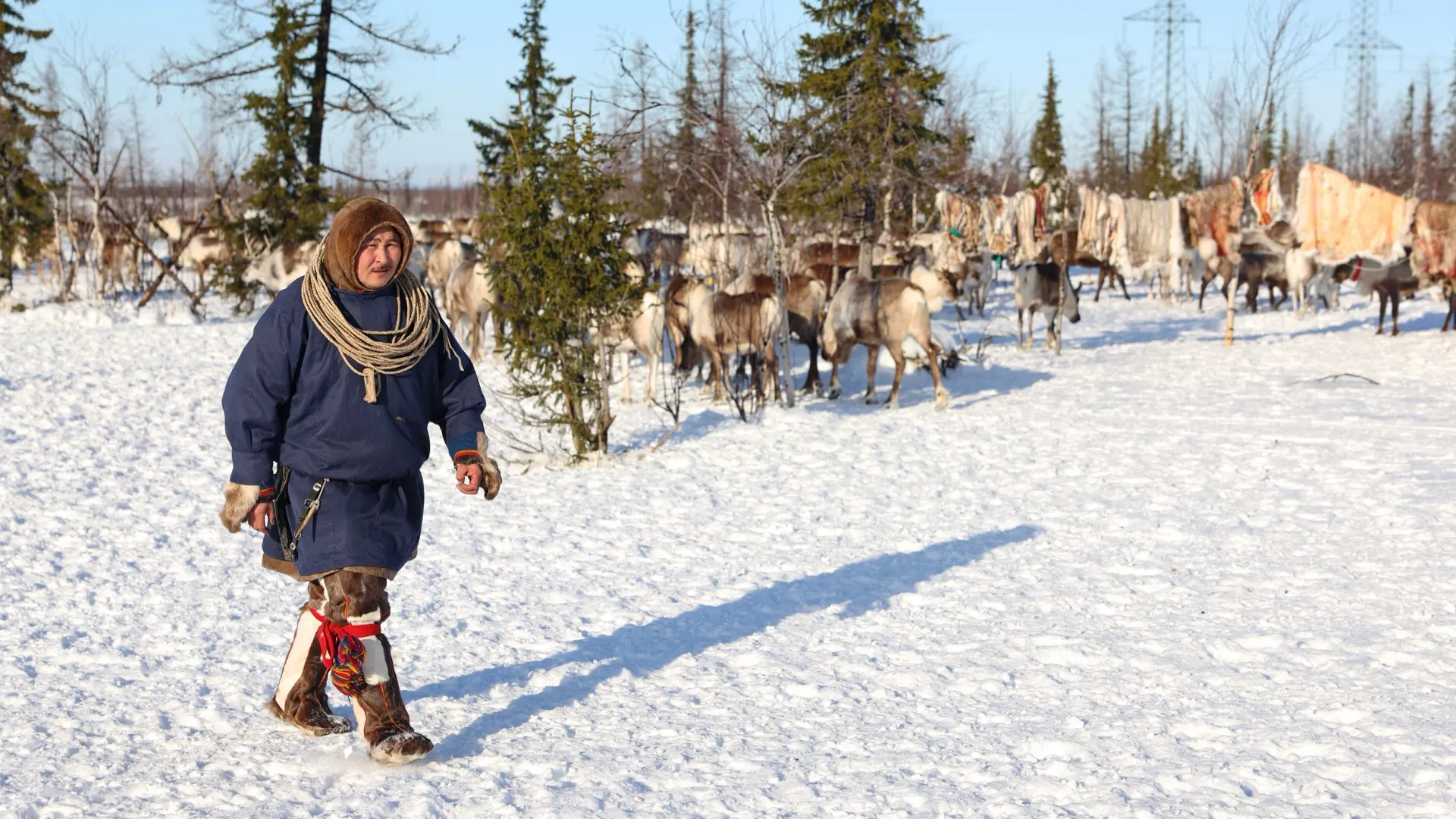 Фото: Андрей Ткачев / «Ямал-Медиа»