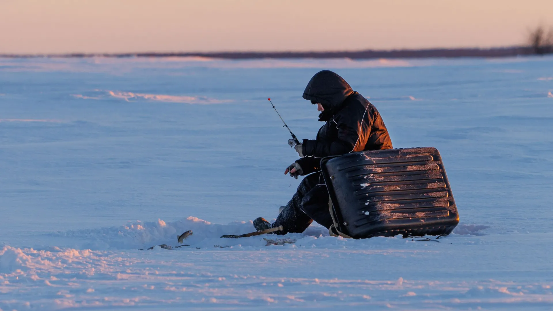 Фото: Федор Воронов / «Ямал-Медиа»