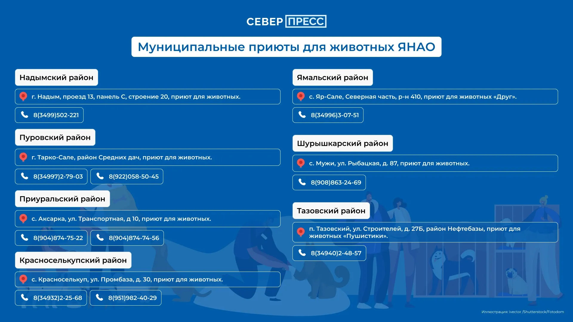 Инфографика Татьяны Бояриновой / «Ямал-Медиа»
