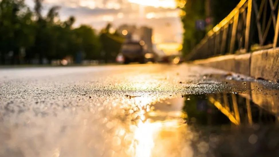 Фото: Georgii Shipin / Shutterstock / Fotodom