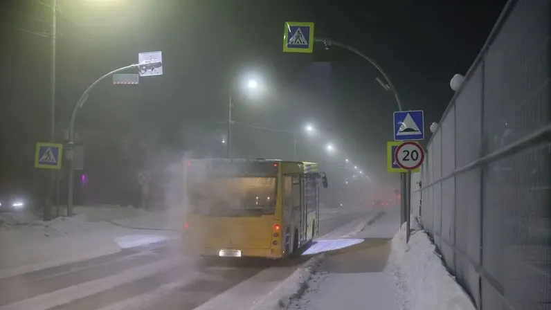 Фото: Андрей Ткачев / «Ямал-Медиа»