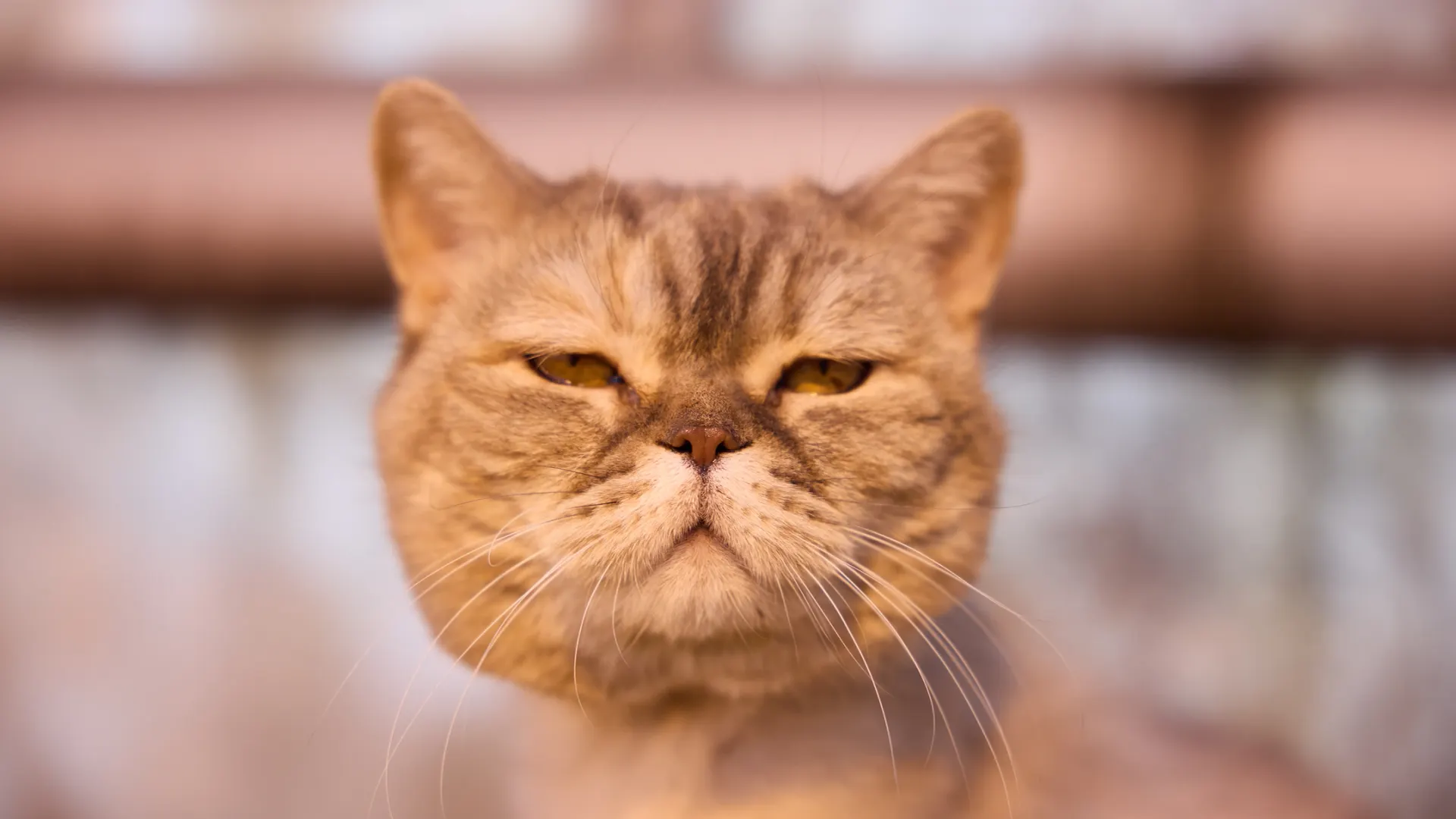 Фото: Юрий Здебский / «Ямал-Медиа»