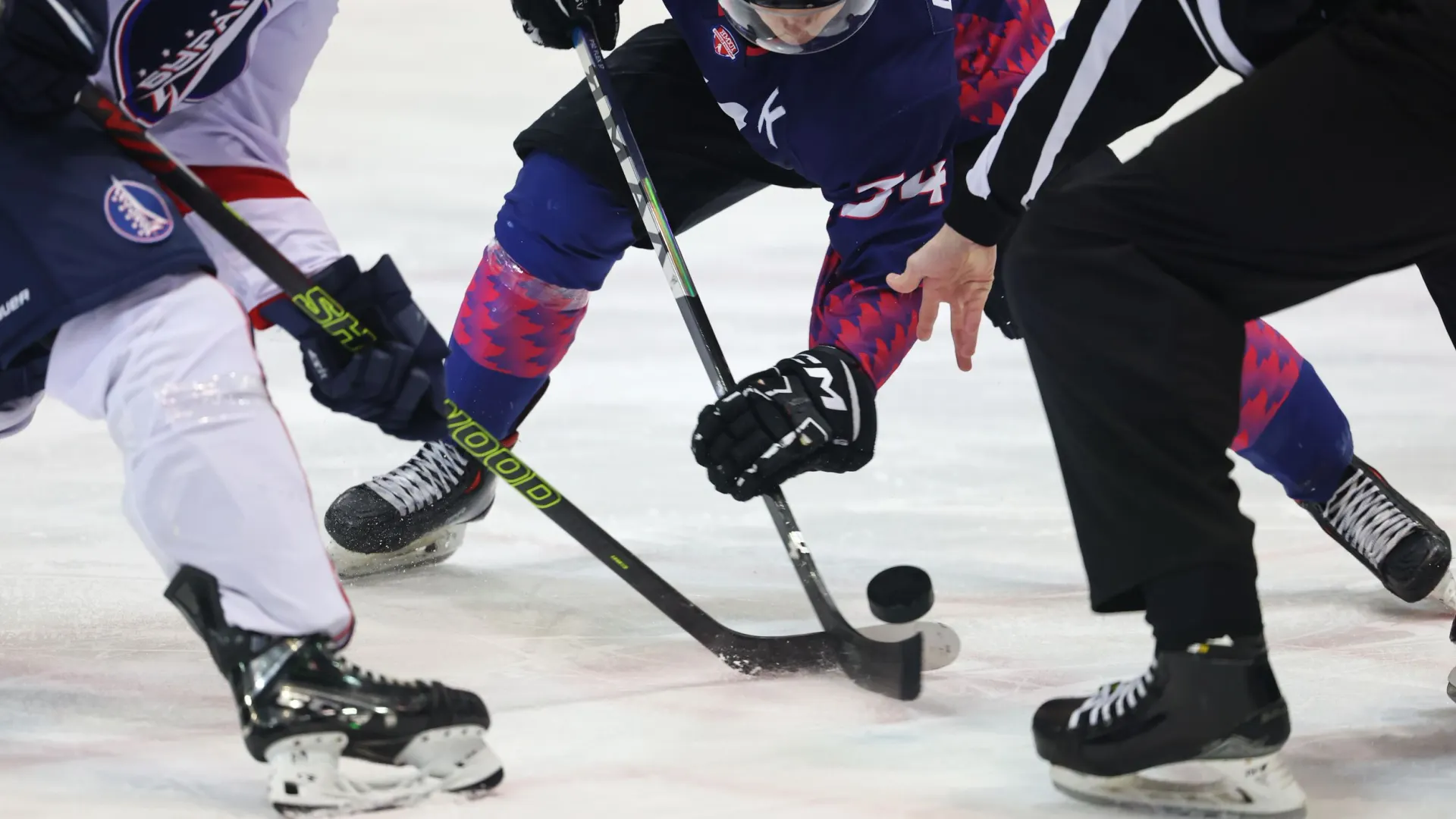 Фото: Андрей Ткачев / «Ямал-Медиа»