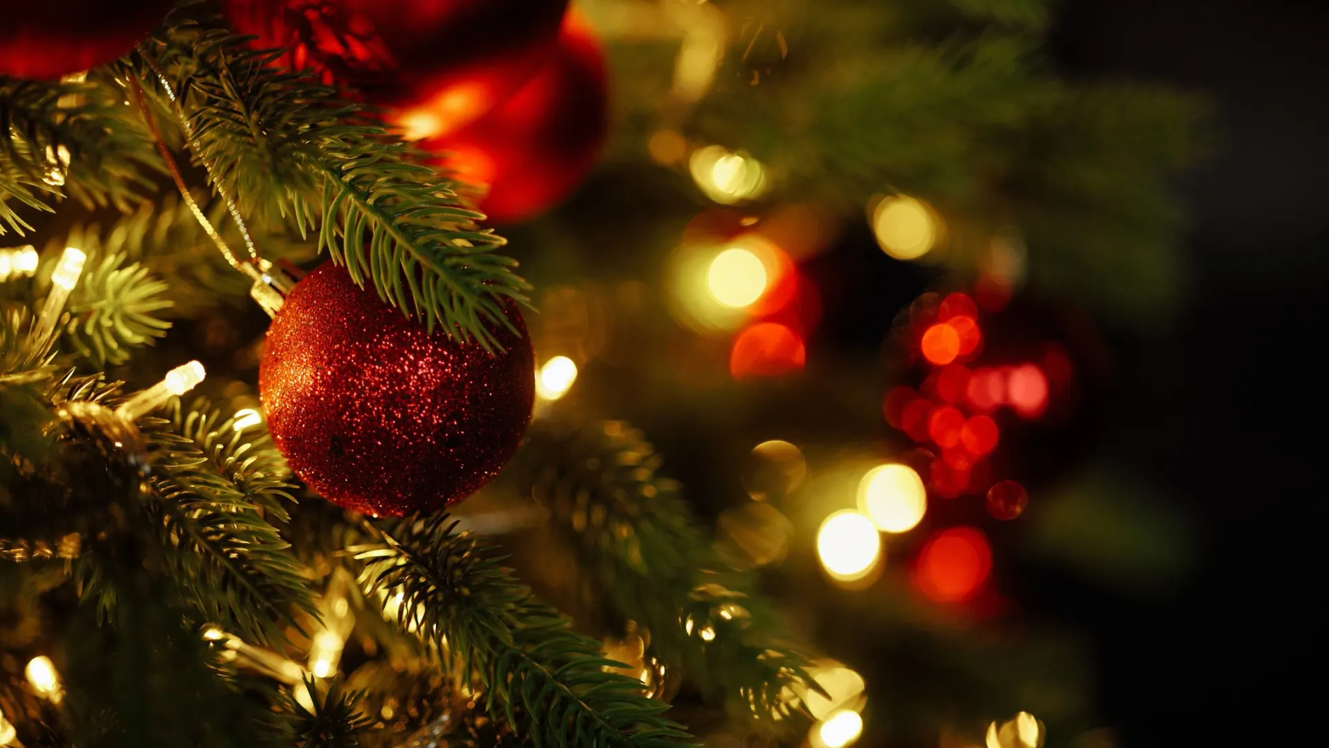 Фото: Kaplitskaia Love / Shutterstock / Fotodom