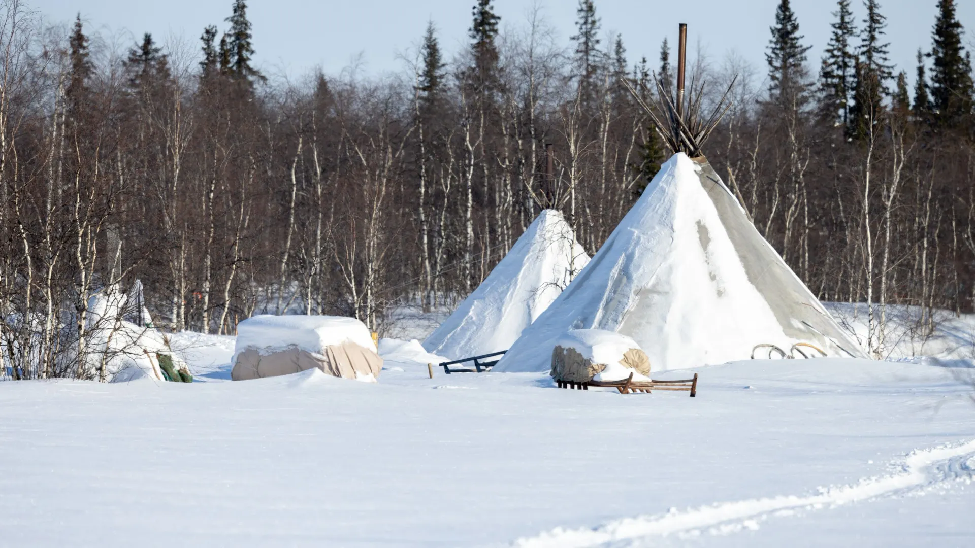 Фото: Федор Воронов / «Ямал-Медиа»