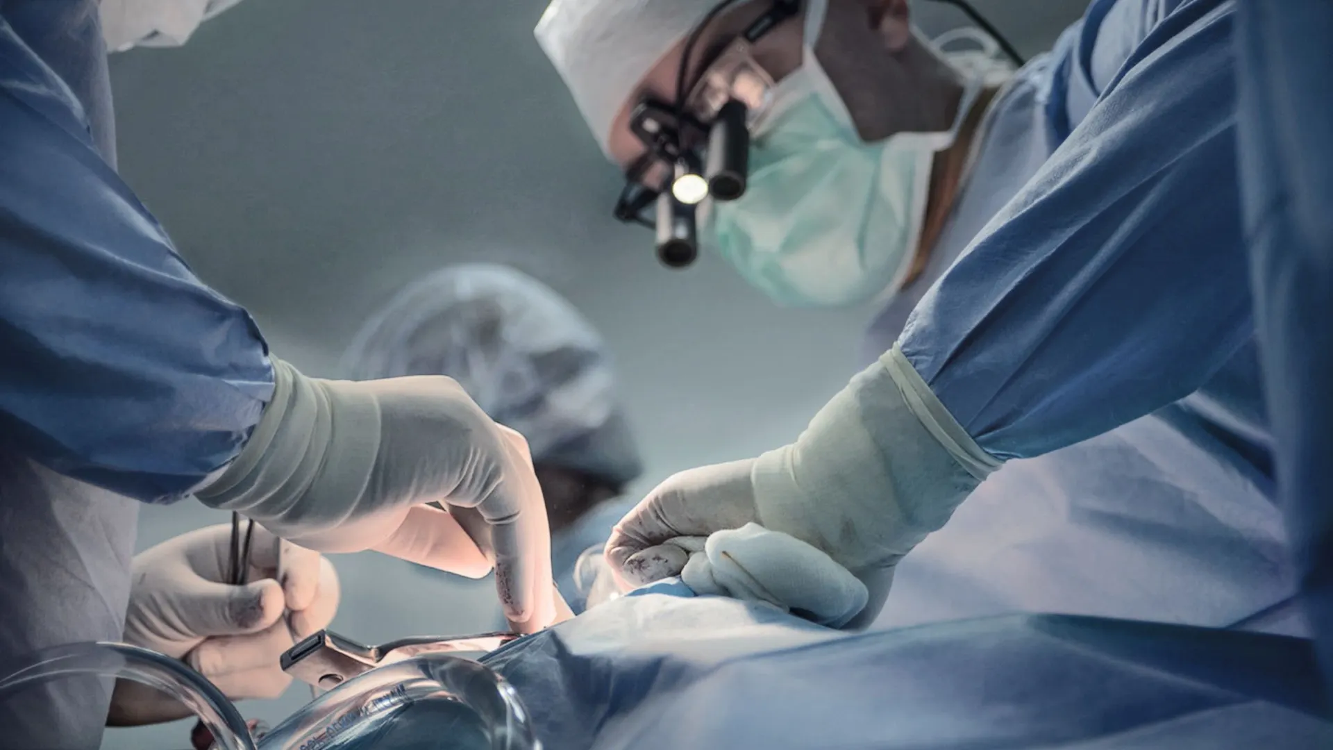 Фото: Assist m4x1ight happiness / Shutterstock / Fotodom