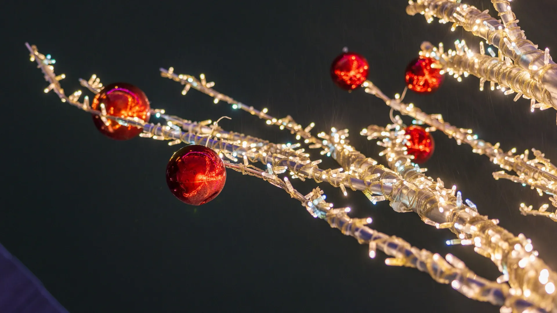 Фото: Федор Воронов / «Ямал-Медиа»