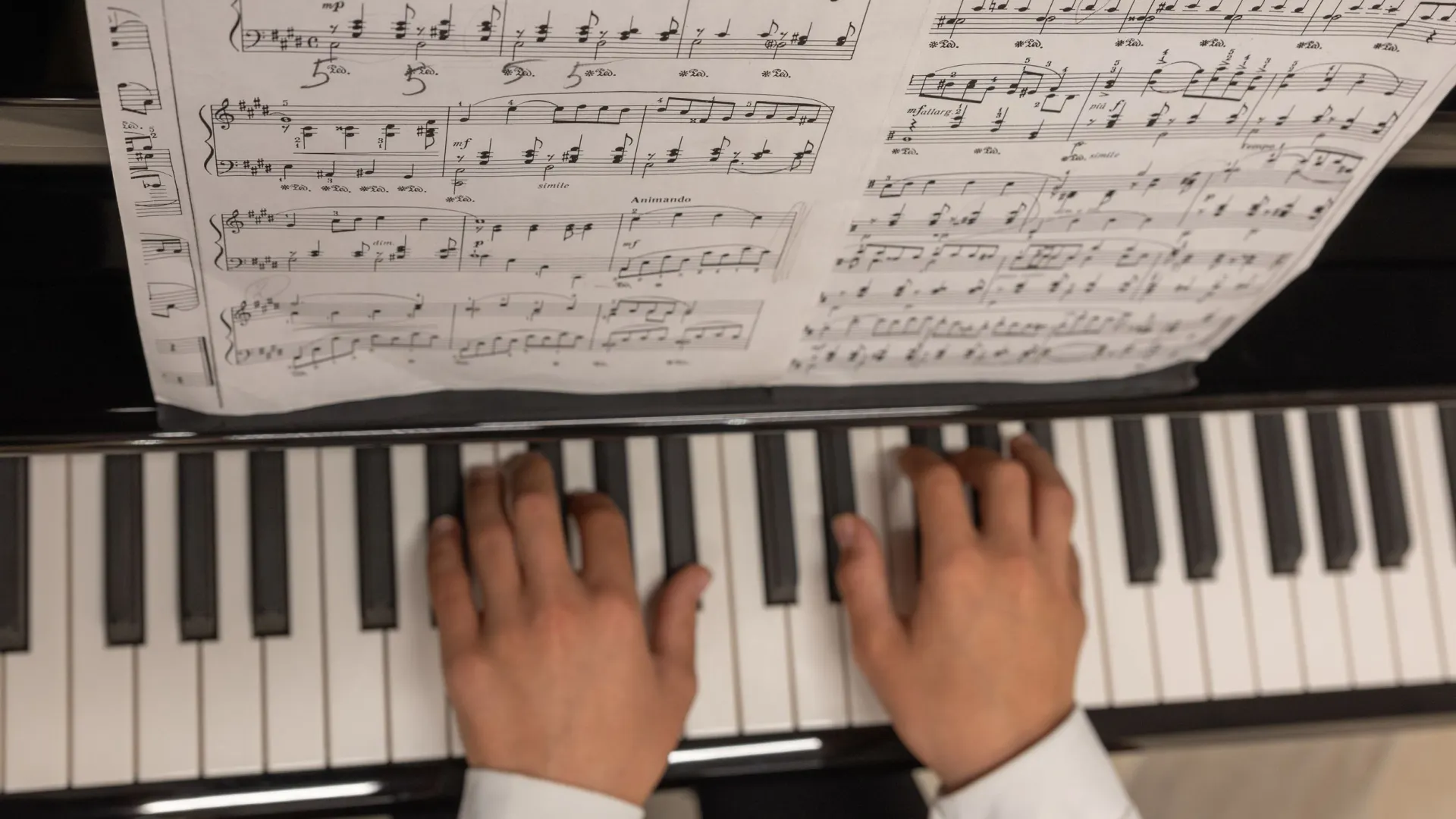 Фото: Александр Чирва / «Ямал-Медиа»