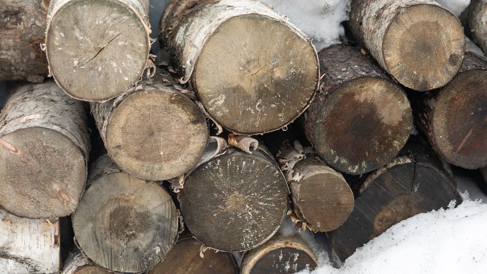 Фото: Александр Чирва / «Ямал-Медиа»