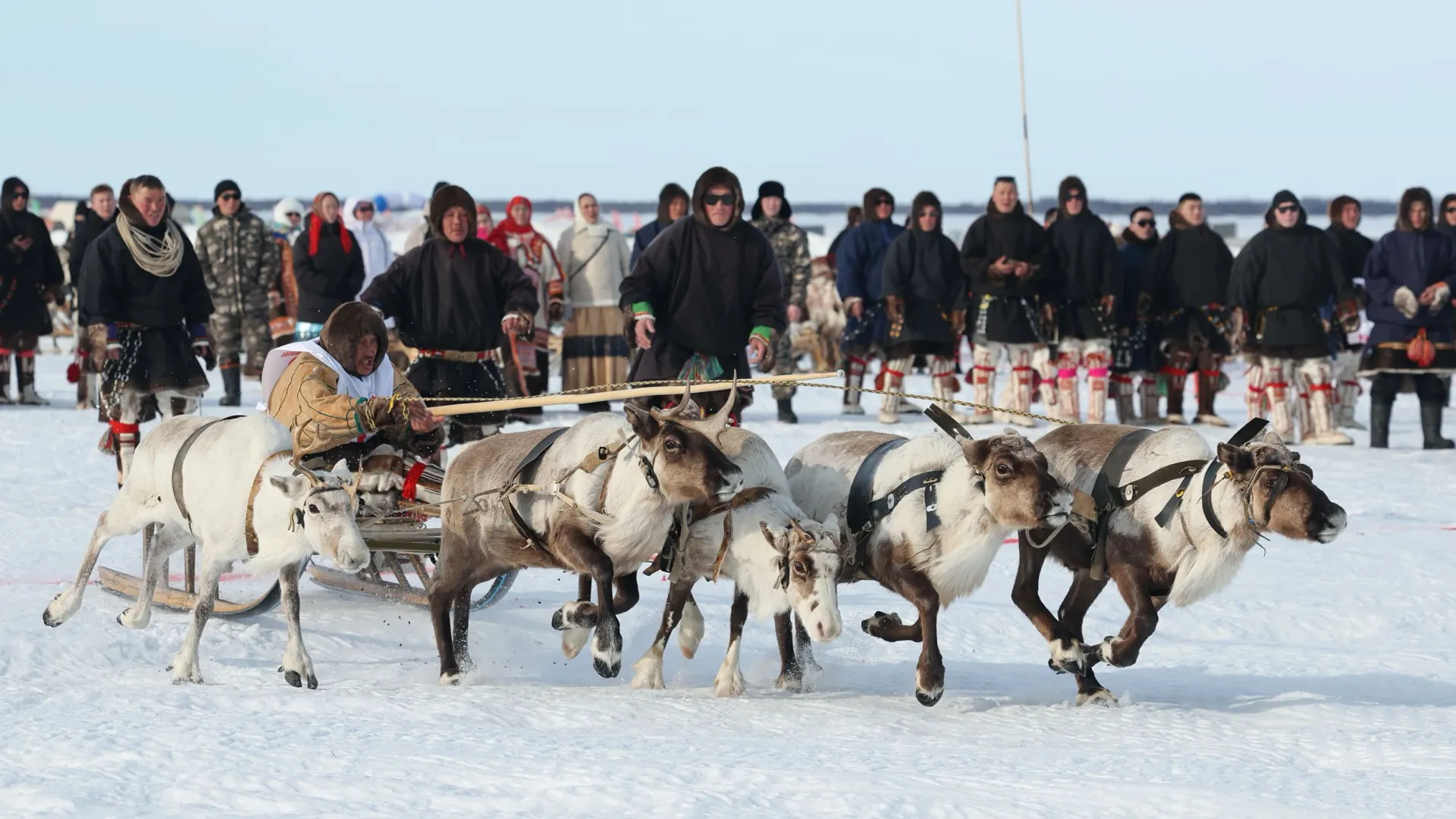 Фото: Андрей Ткачев / «Ямал-Медиа»
