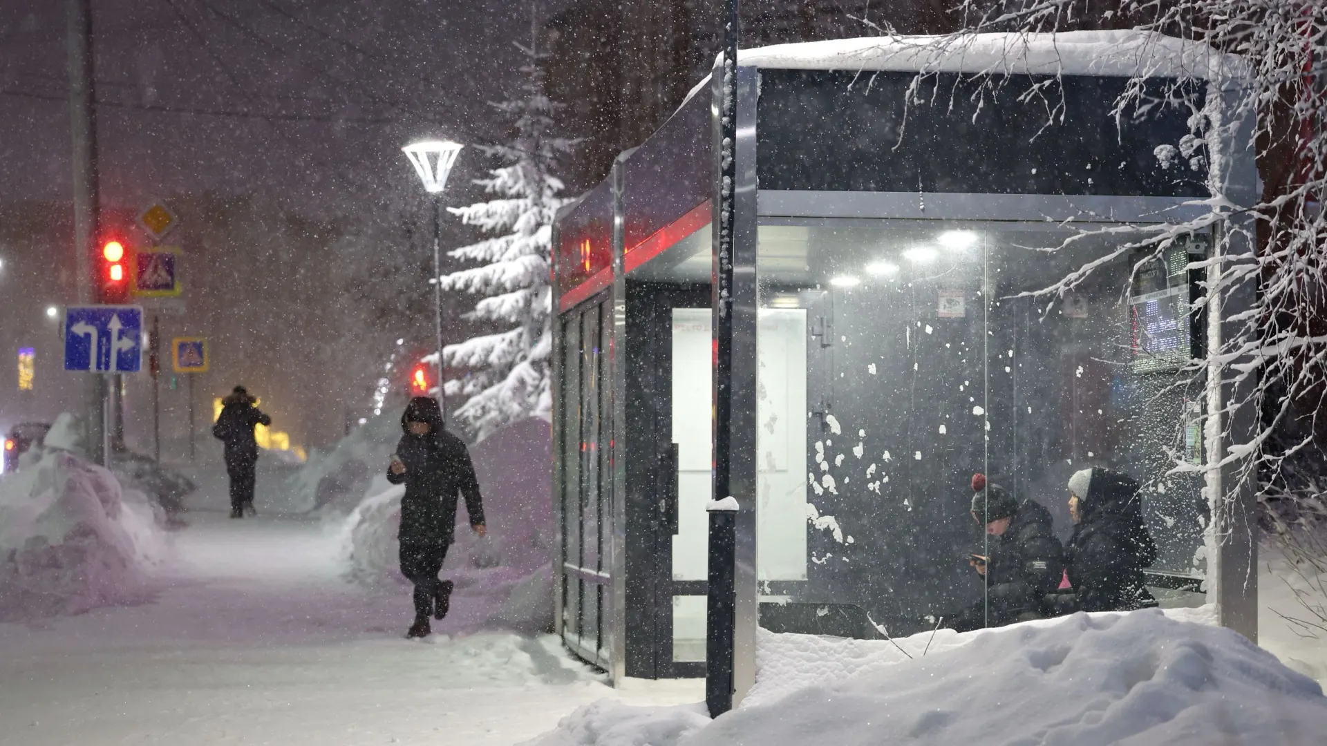 Фото: Андрей Ткачев / «Ямал-Медиа»