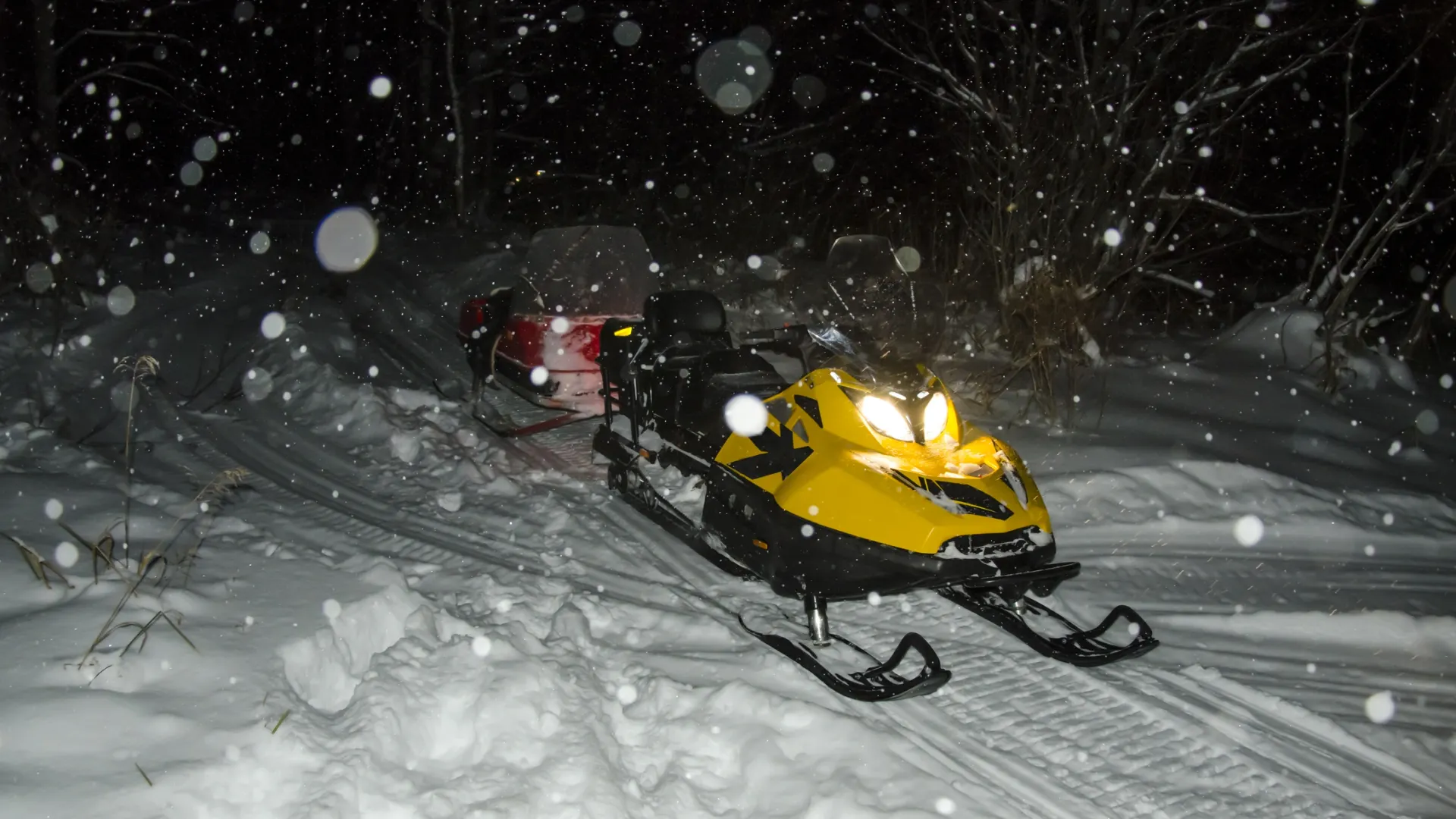 Фото: Artem Svidersky / Shutterstock / Fotodom