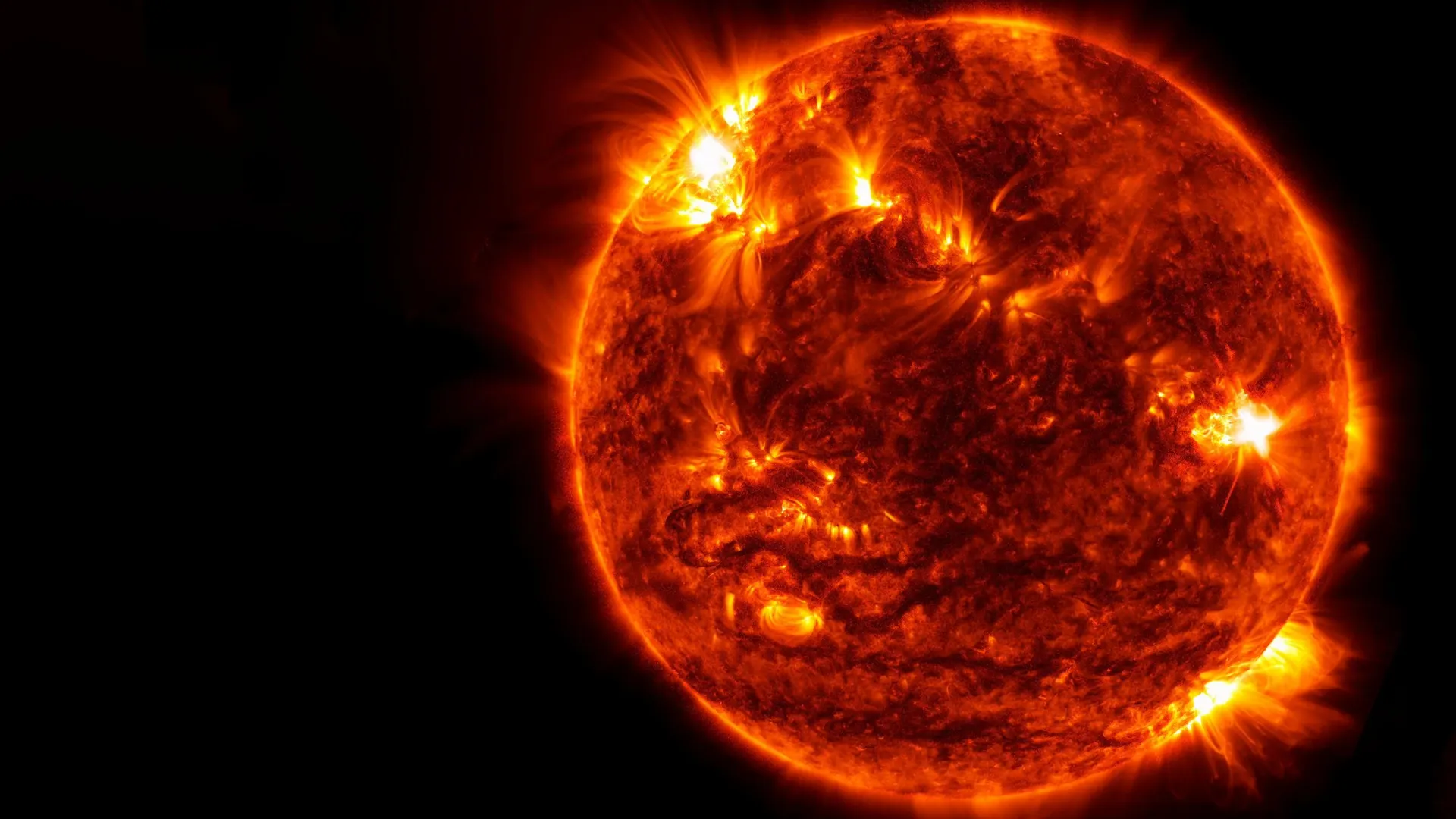 Фото: Artsiom P / Shutterstock / Fotodom