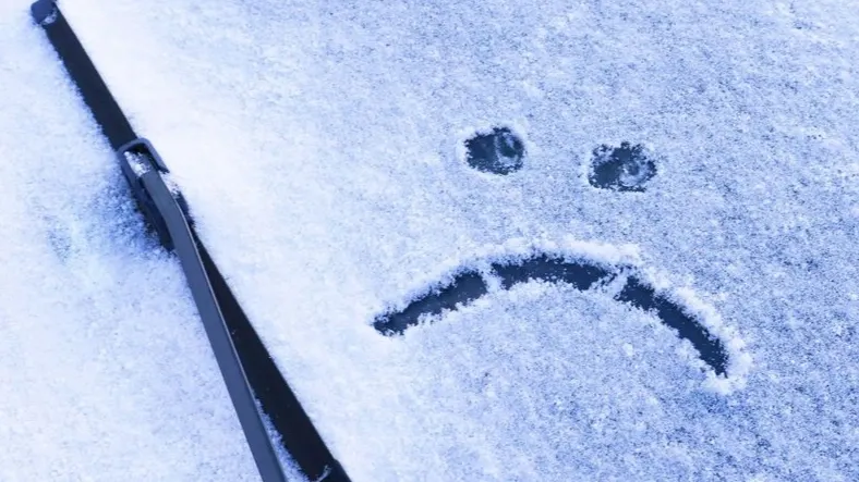 Фото: Natallia Ustsinava/Shutterstock/Fotodom