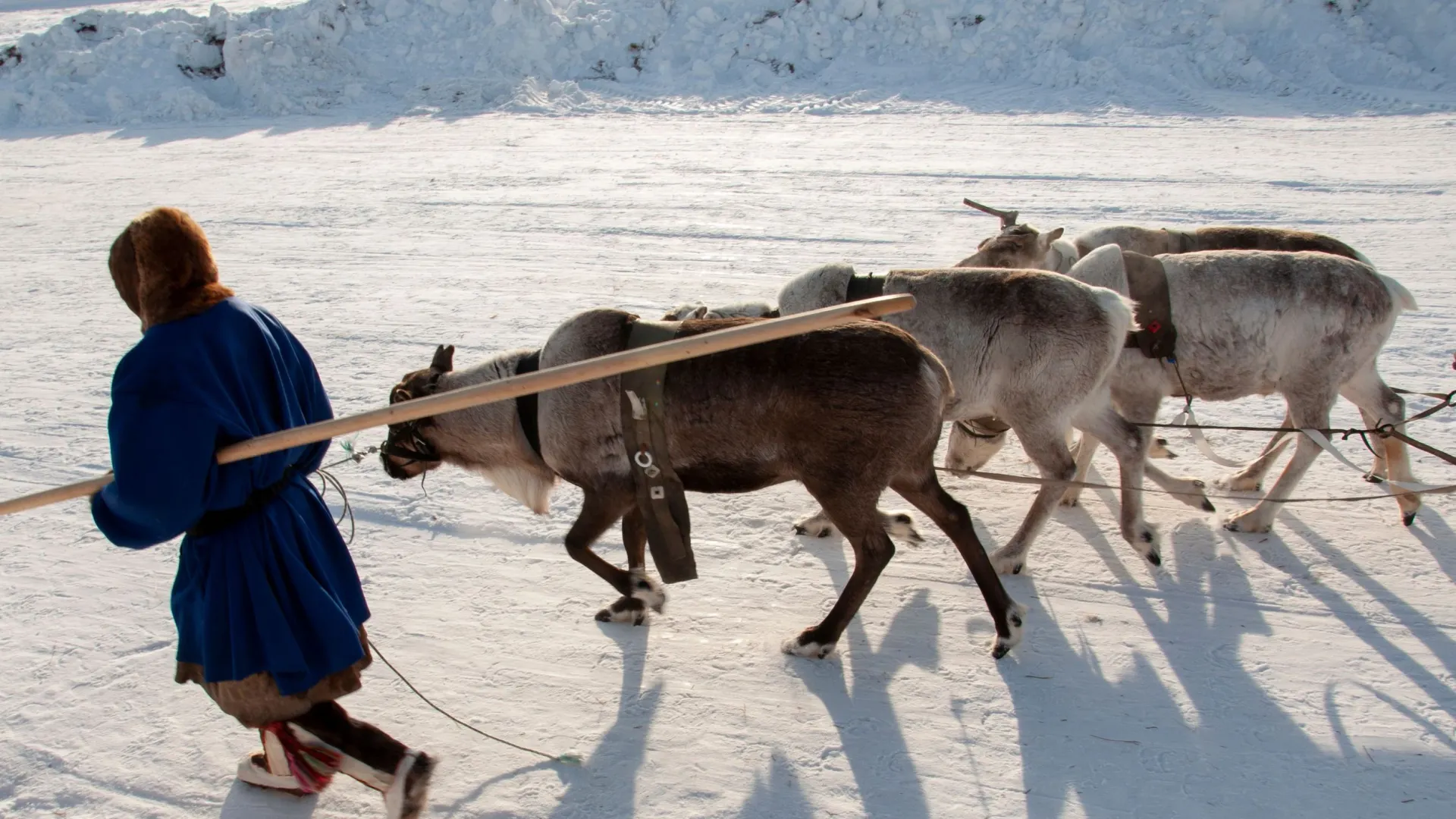 Фото: Oksana_Shmatok/Shutterstock/Fotodom