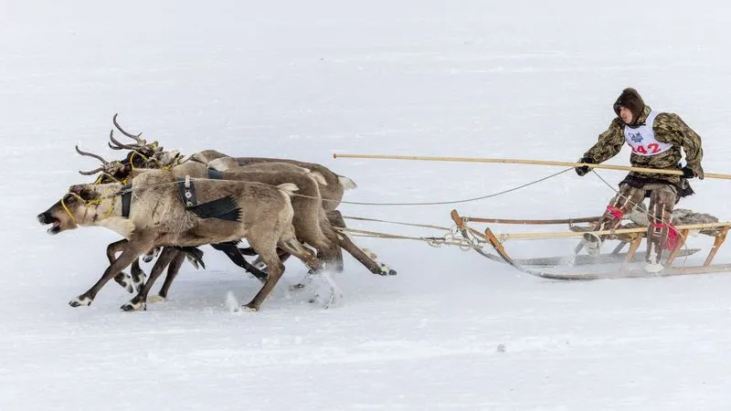 Фото: Федор Воронов / «Ямал-Медиа»