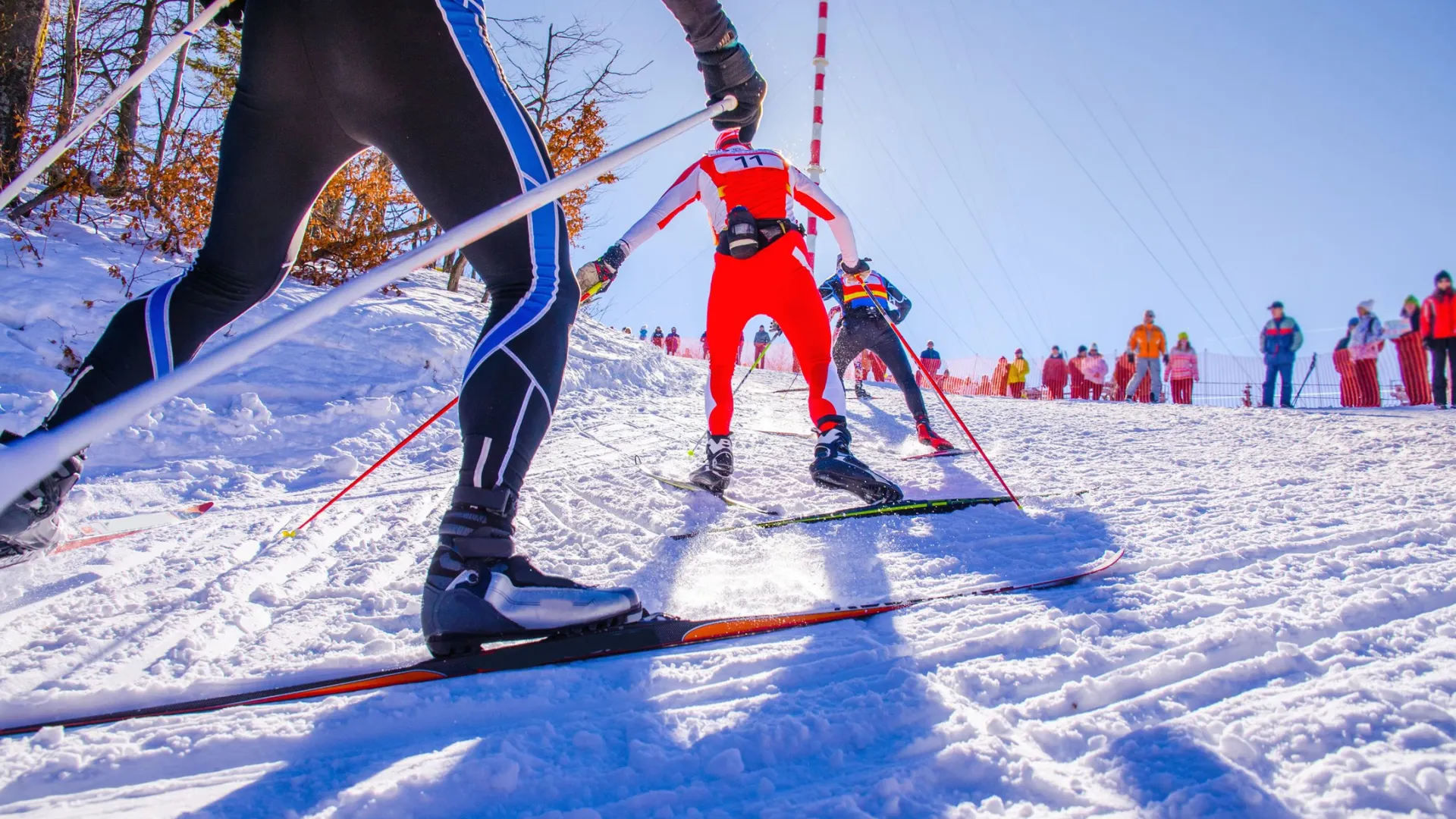 Фото: kovop/Shutterstock/Fotodom