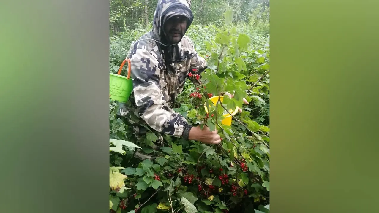 Фото предоставлено Дмитрием Мирошниченко