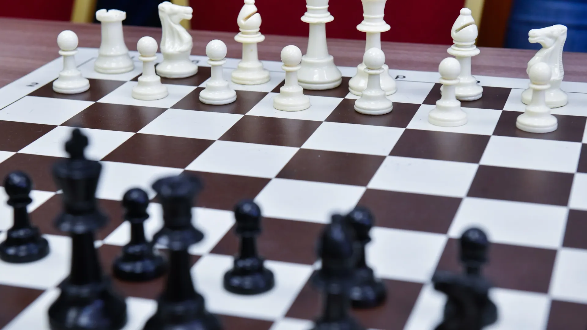 Фото: Андрей Ткачев / «Ямал-Медиа»