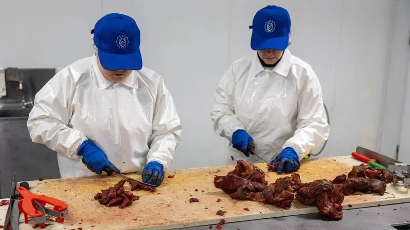 Фото: Александр Чирва / «Ямал-Медиа»