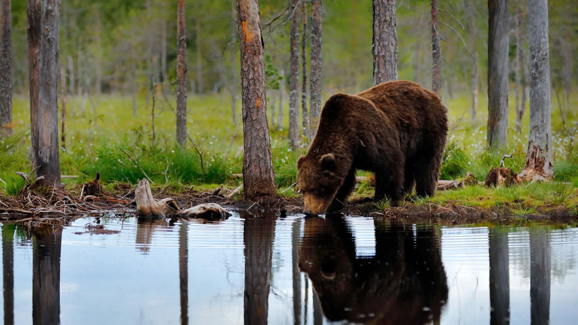 Фото: Ondrej Prosicky / Shutterstock / Fotodom