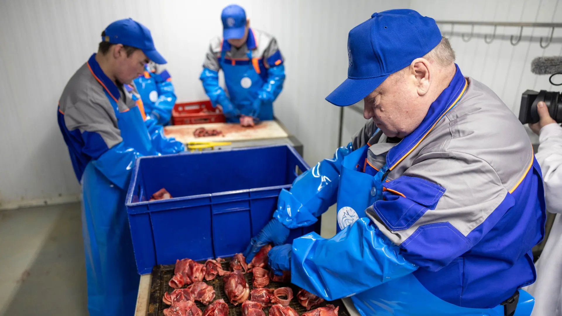 Фото: Александр Чирва / «Ямал-Медиа»