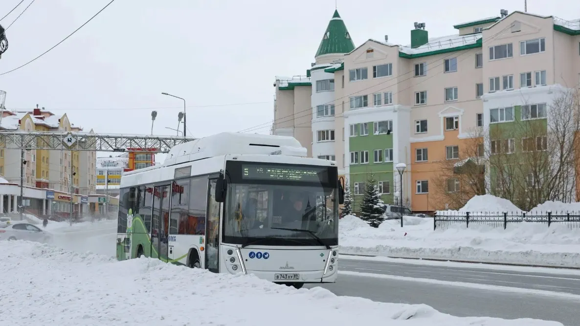 Фото: Андрей Ткачев / «Ямал-Медиа»
