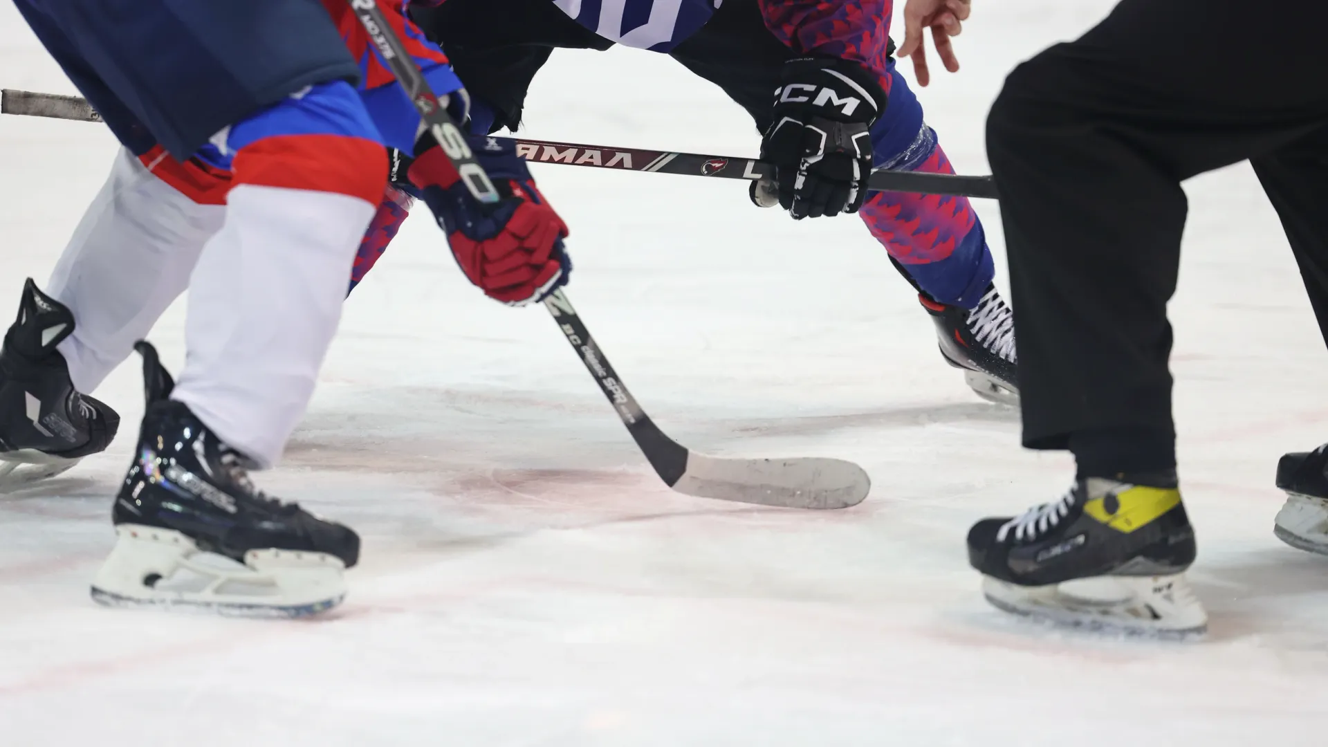 Фото: Андрей Ткачев / «Ямал-Медиа»