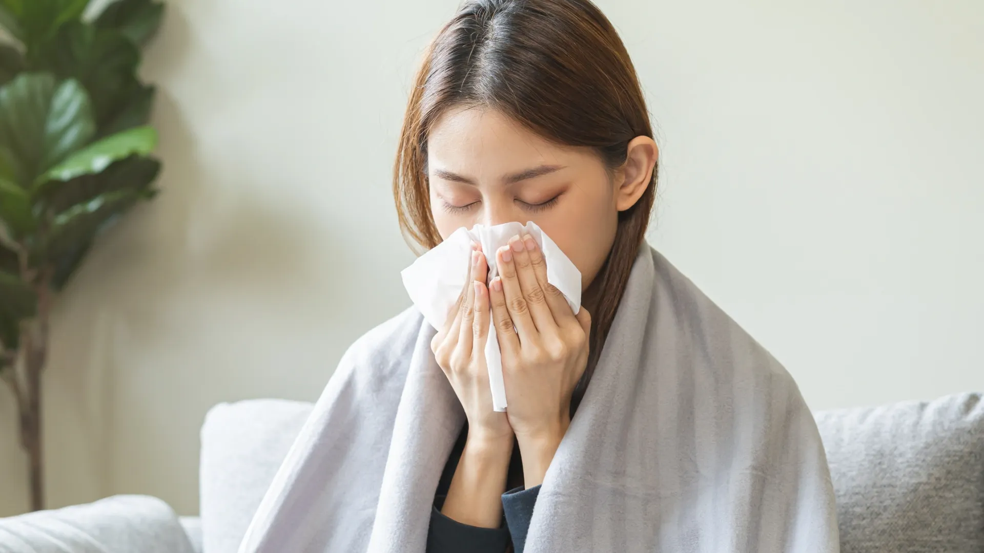 Фото: Kmpzzz /Shutterstock/Fotodom