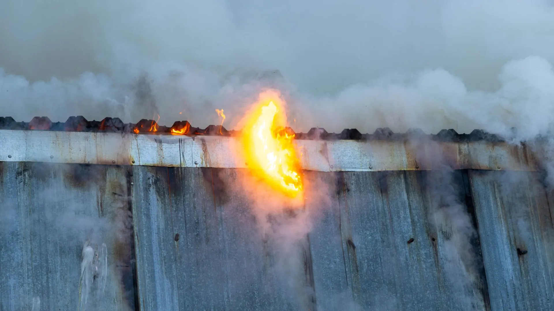 Фото: Александр Чирва / «Ямал-Медиа»