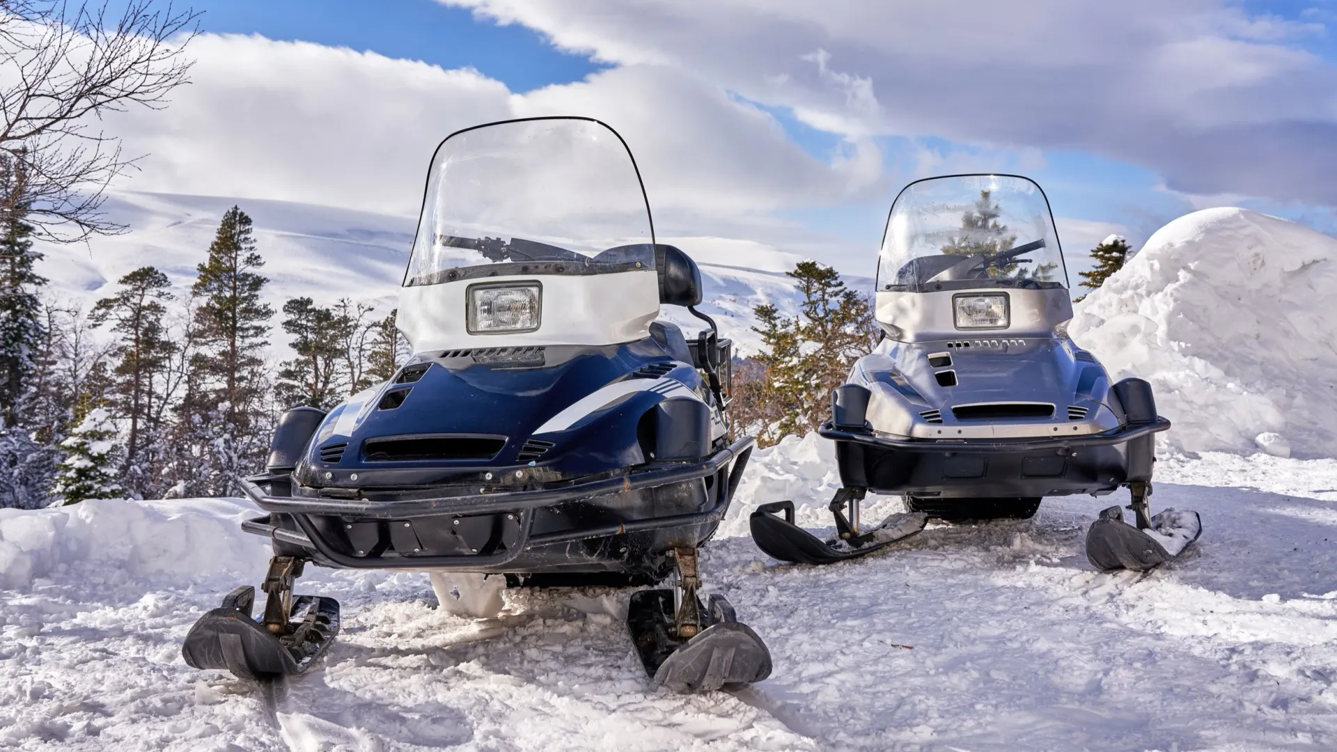 Фото: Sergey Denisenko / Shutterstock / Fotodom