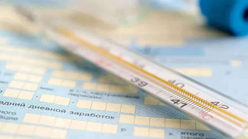 Фото: Melnikov Dmitriy / Shutterstock / Fotodom