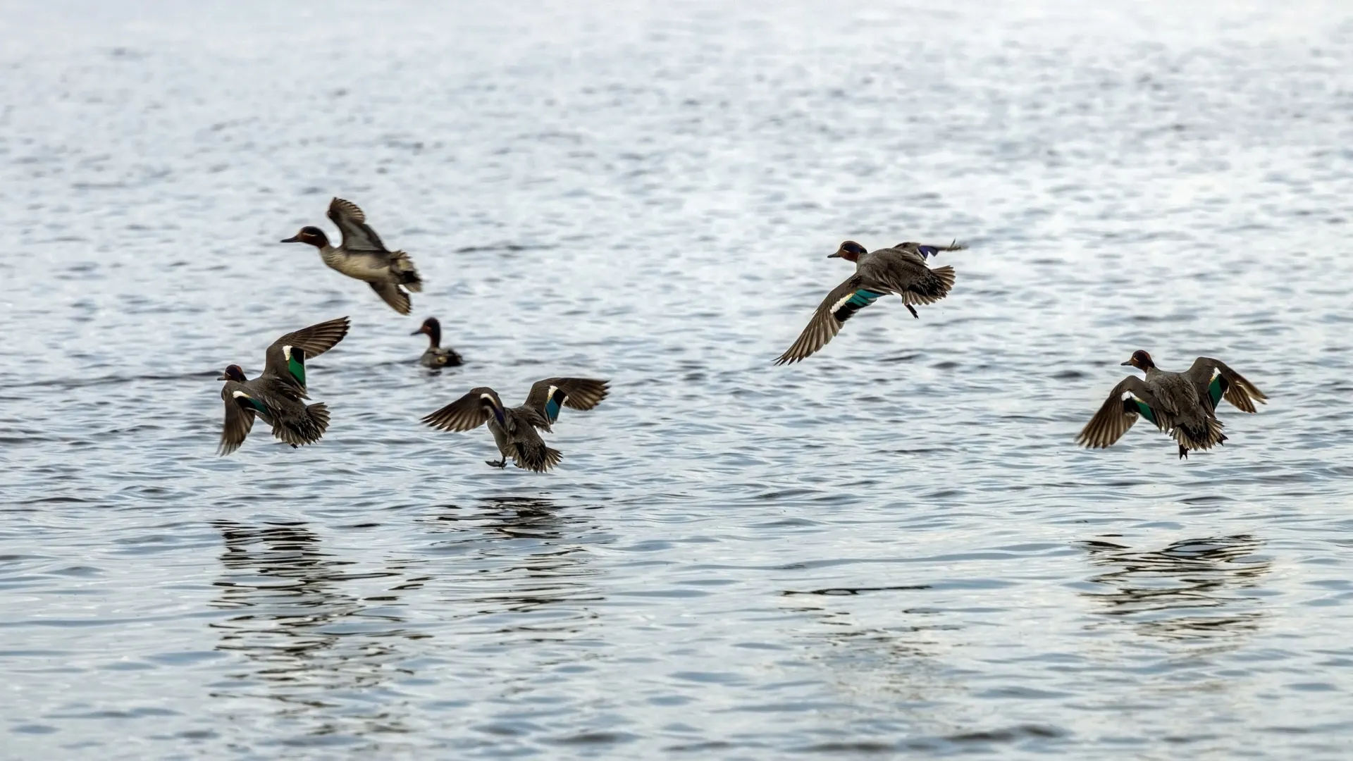 Фото: Федор Воронов / «Ямал-Медиа»