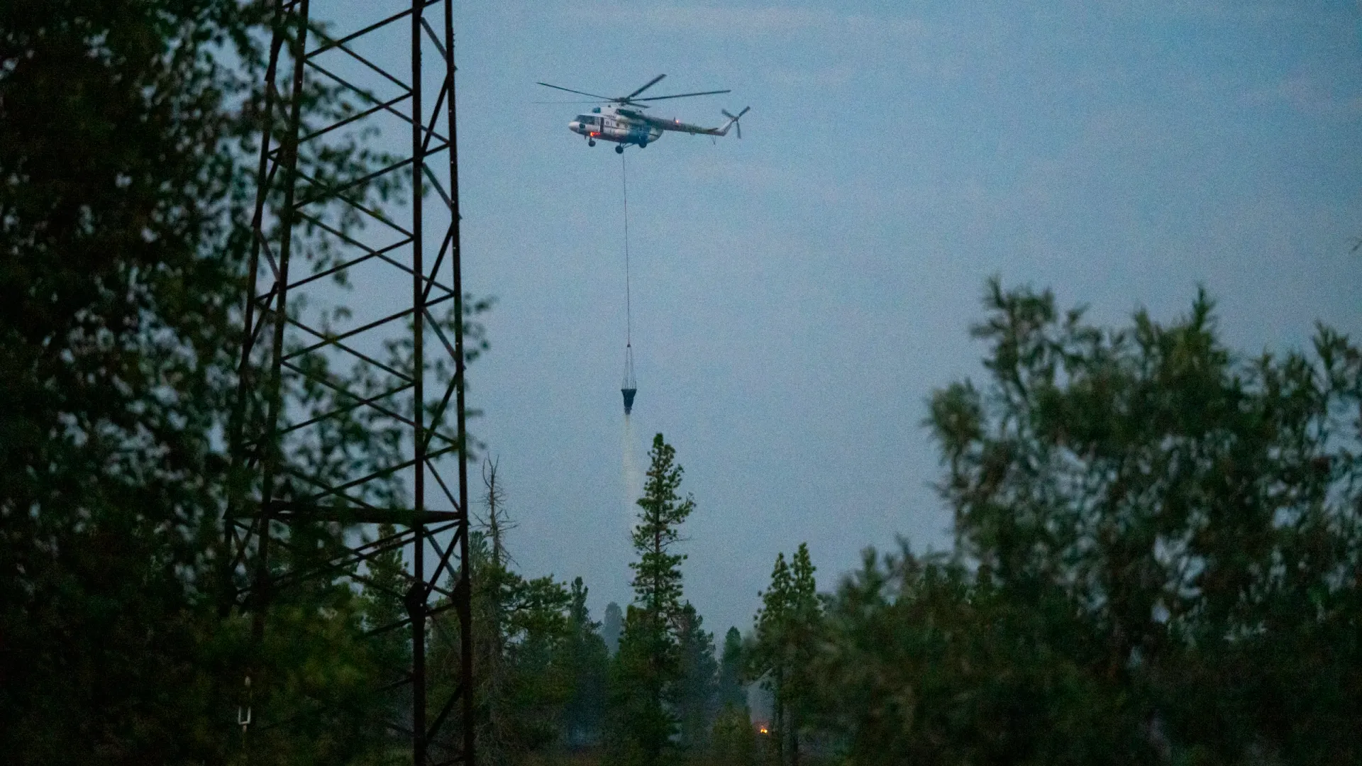 Фото: Андрей Понамарев / «Ямал-Медиа»