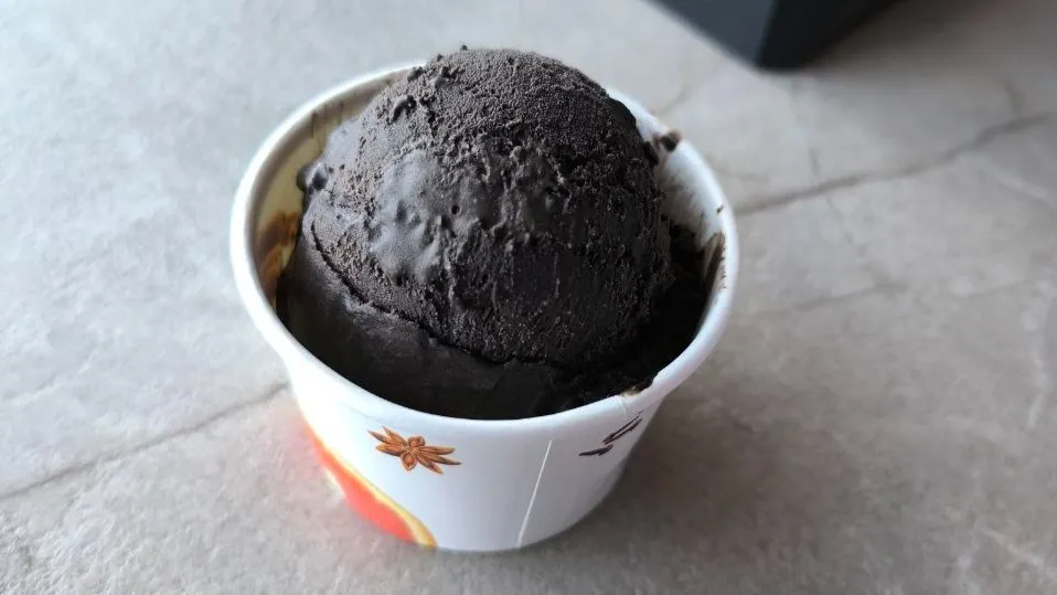 Фото: архив читателя «Север-Пресса»