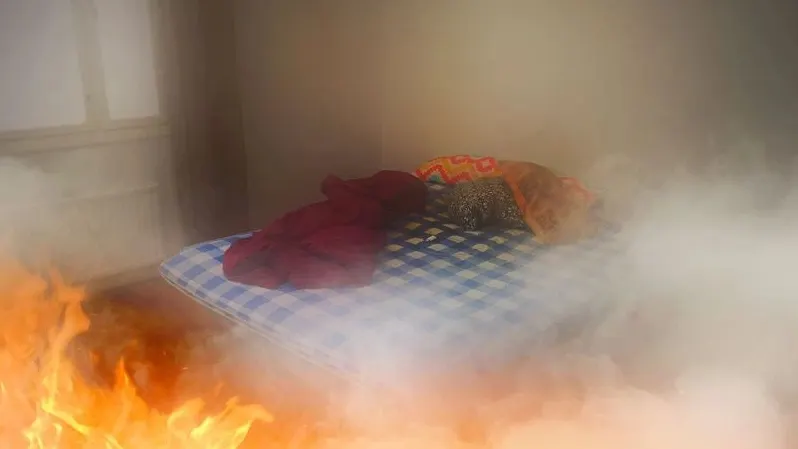 Фото: Migren art / Shutterstock / Fotodom