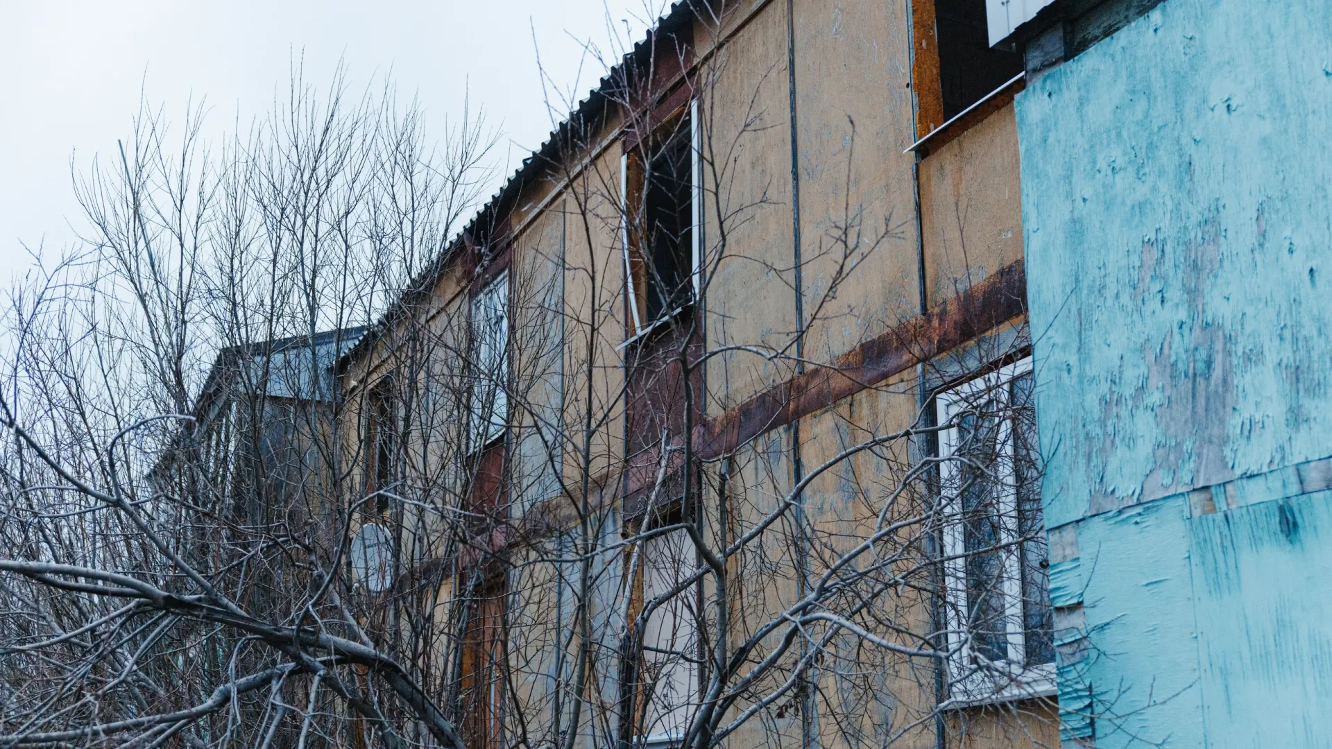 Фото: Алина Дьякова / «Ямал-Медиа»